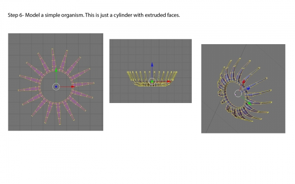 Creation of Exploration: Step 6